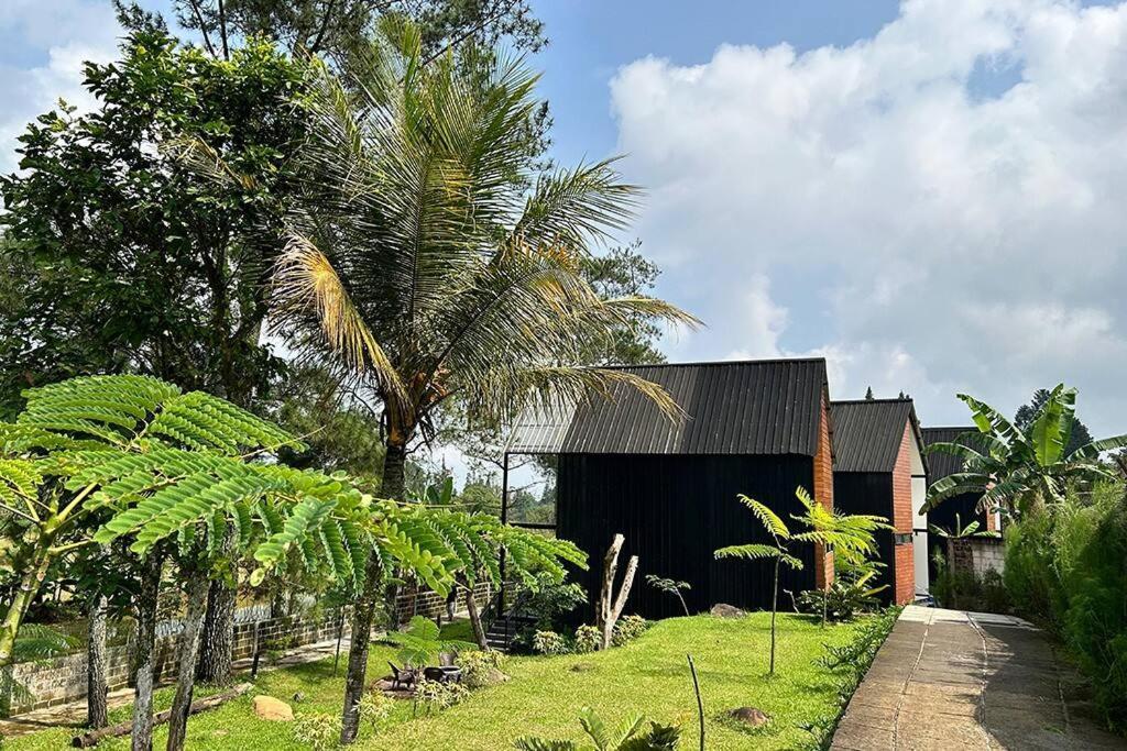 פונקאק Bango Cabins Loft-2 Rooms מראה חיצוני תמונה